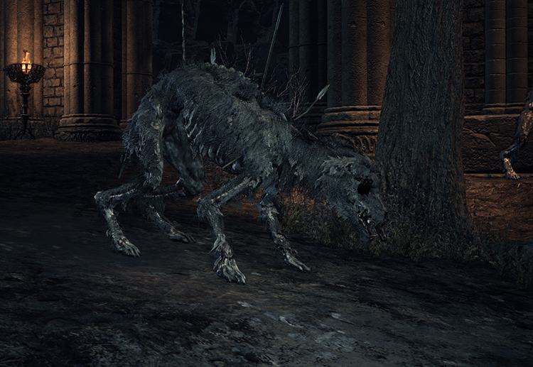 Starved Hound in Dark Souls 3