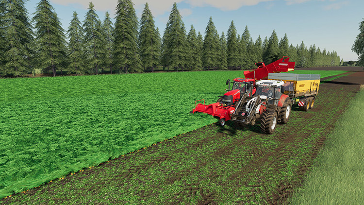 Hollandscheveld Maizeplus Map FS19