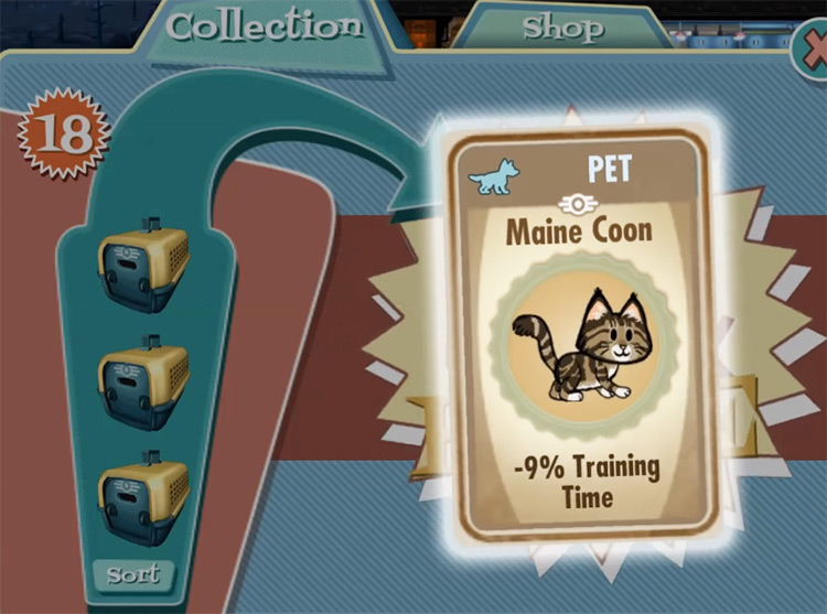 Bangor – Maine Coon from Fallout Shelter