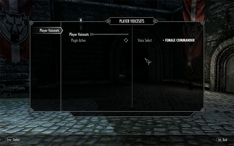 Player Voice Sets in Skyrim