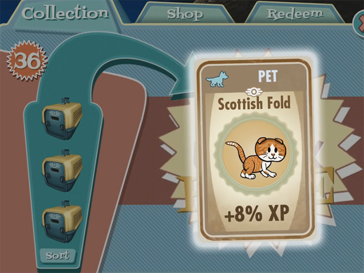 Ginger – Scottish Fold from Fallout Shelter