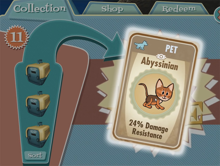 Zula – Abyssinian from Fallout Shelter