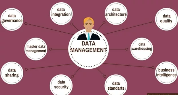 Master Data Management Best Practices Computer Science